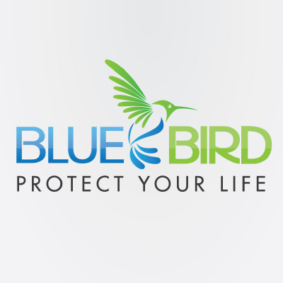 Logo Design service - Kreative Palace Portfolio